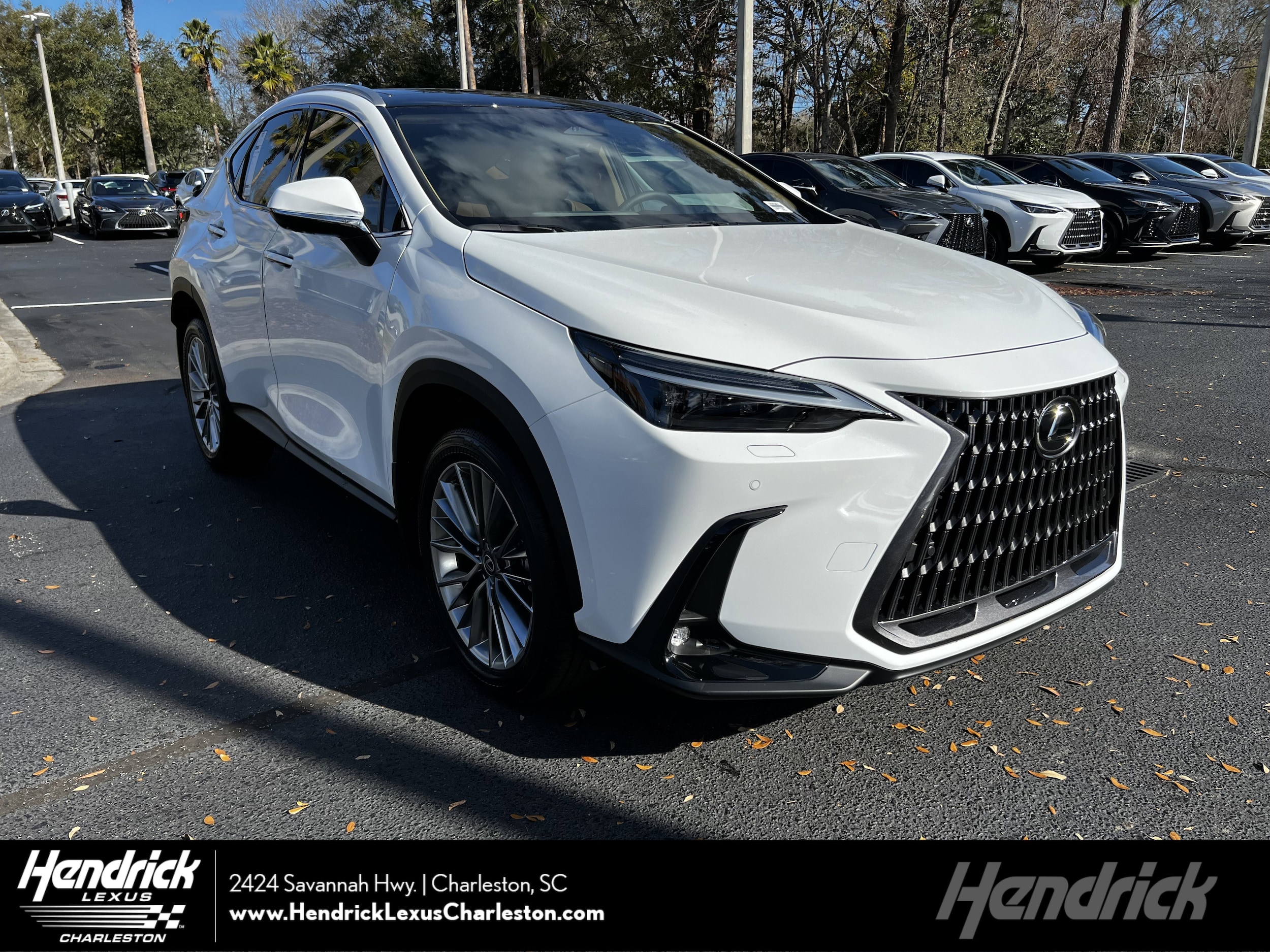 2026 Lexus NX 350's photo