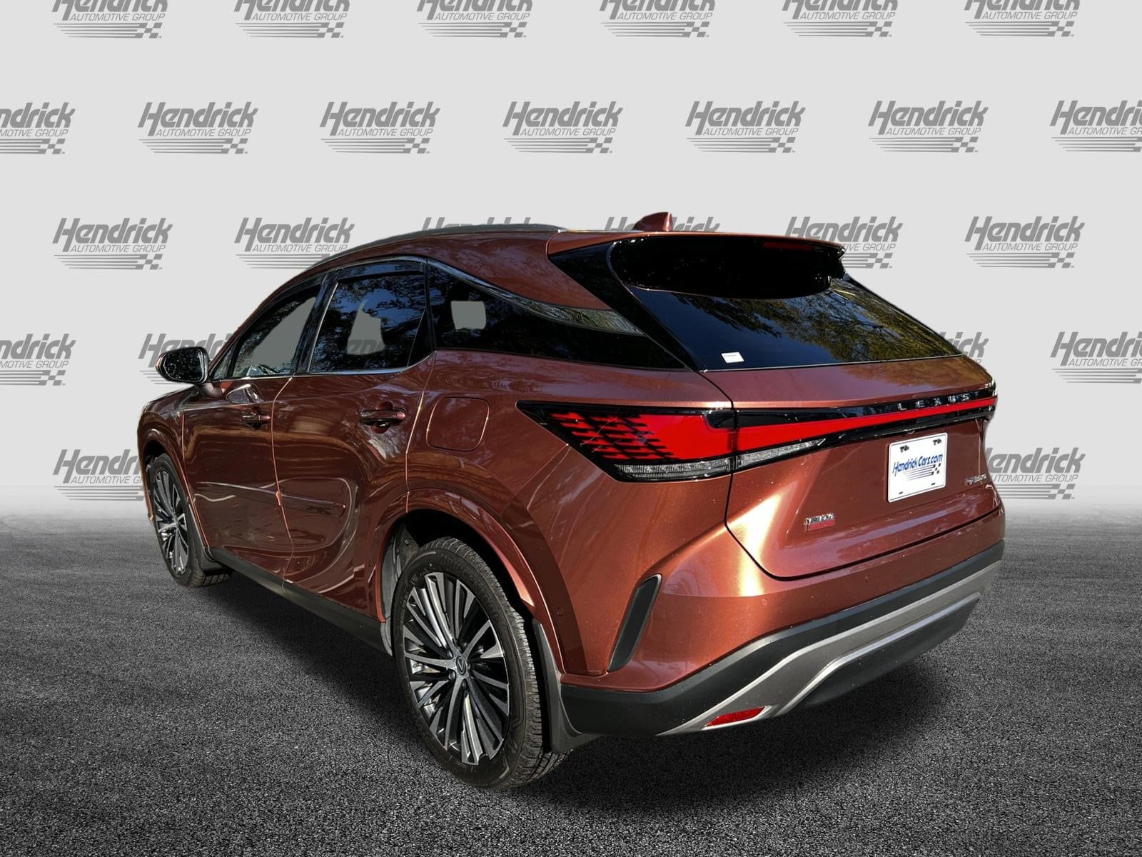 2024 LEXUS RX 350 PREMIUM PLUS photo 5