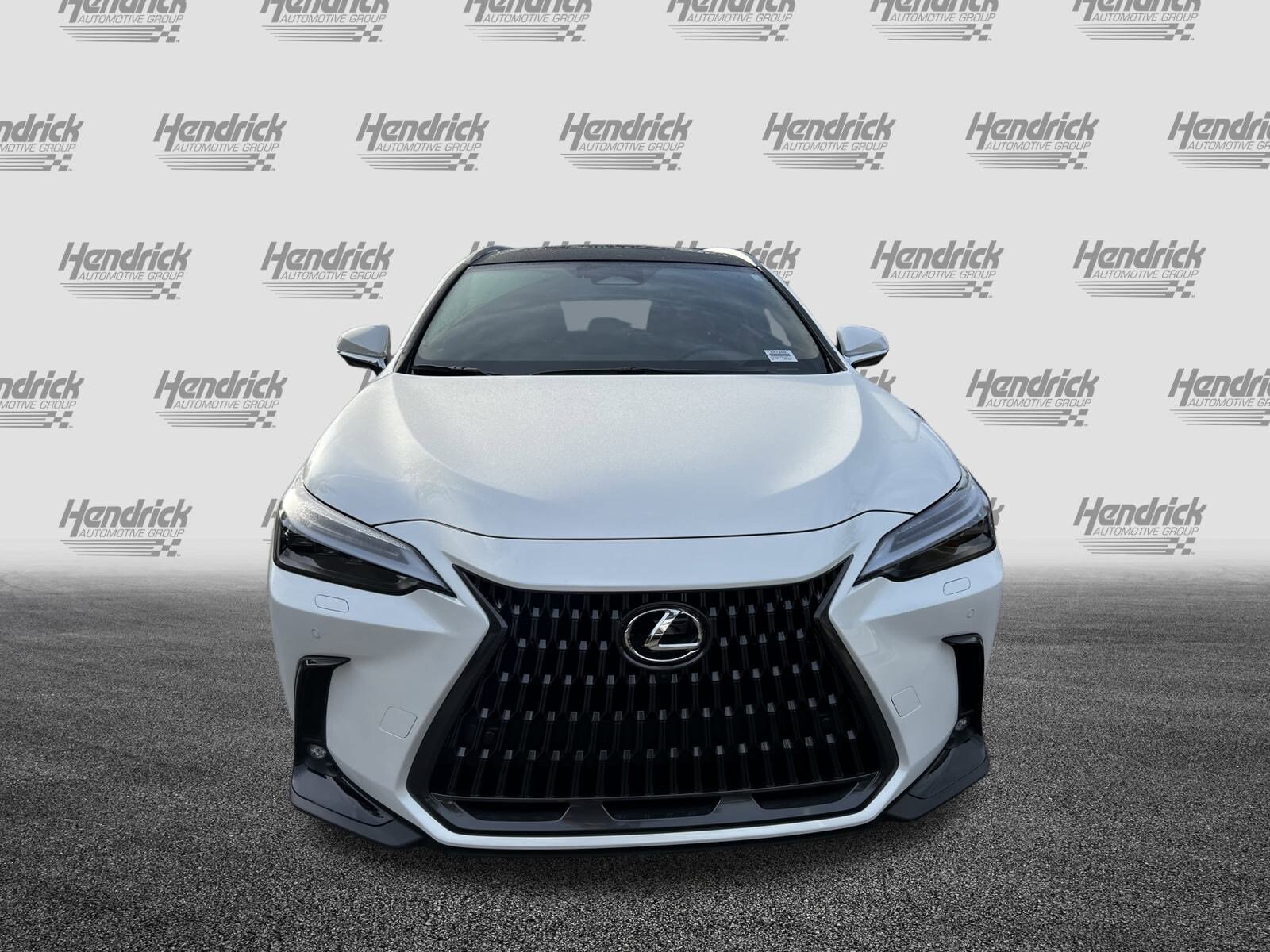 2025 Lexus NX Luxury AWD photo 3