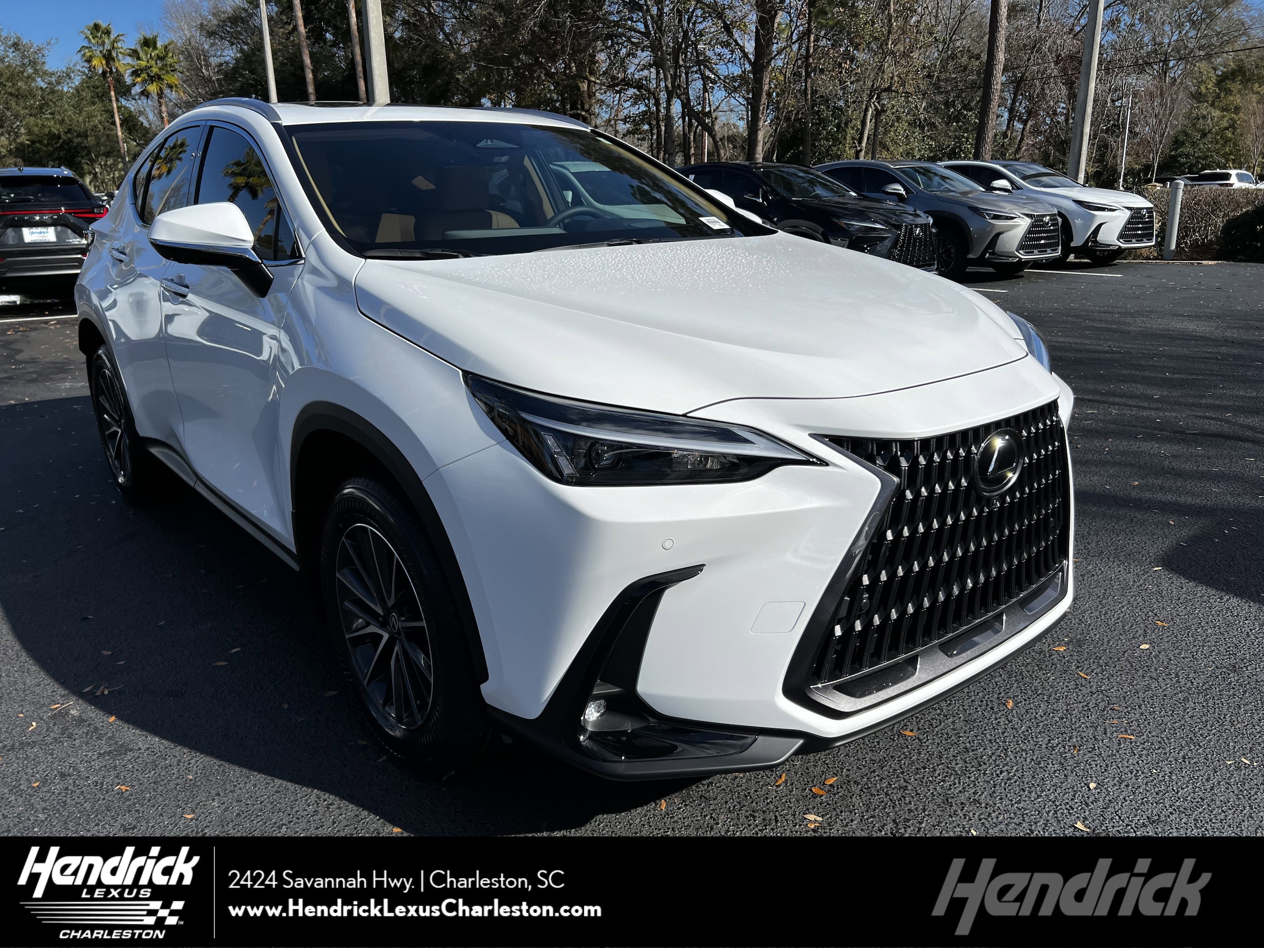 2026 Lexus NX 350's photo