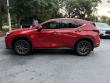 2024 LEXUS NX NX 250 Premium SUV