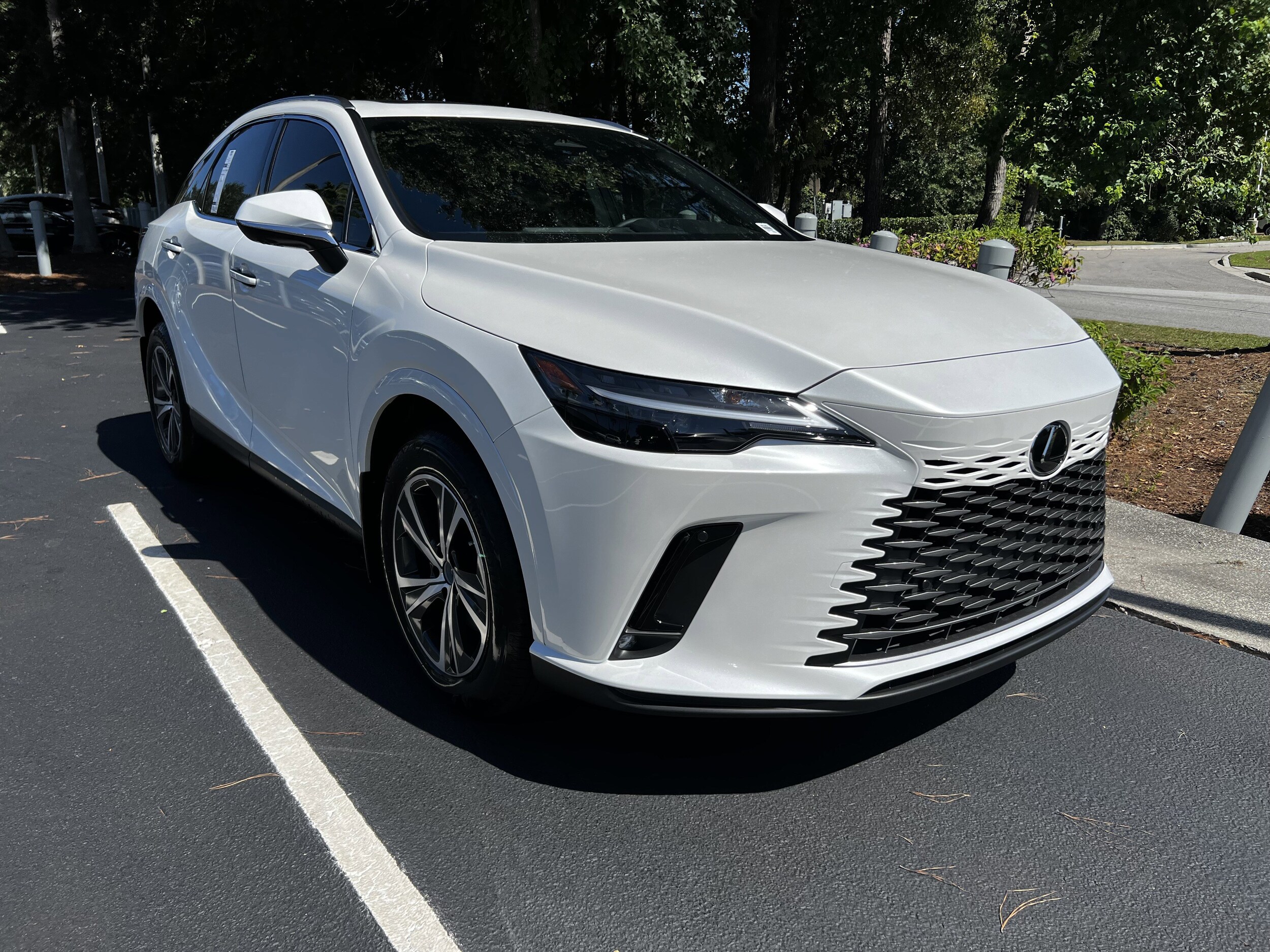 2025 Lexus RX 350 Premium photo 2