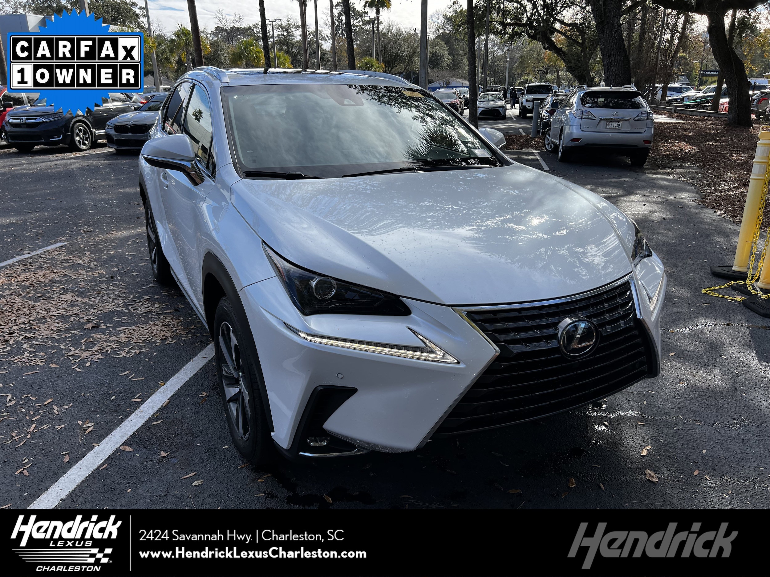 2019 Lexus NX 300's photo