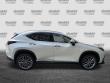 2024 LEXUS NX 350h LUXURY AWD SUV