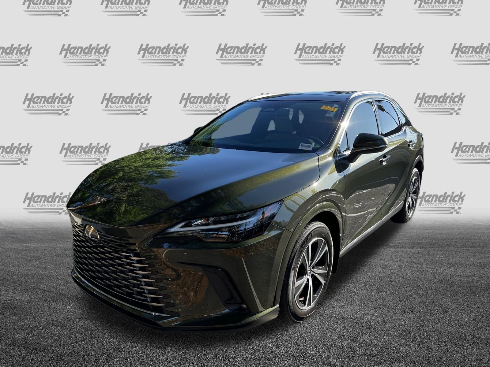 2023 LEXUS RX RX 350h Premium Plus photo 2