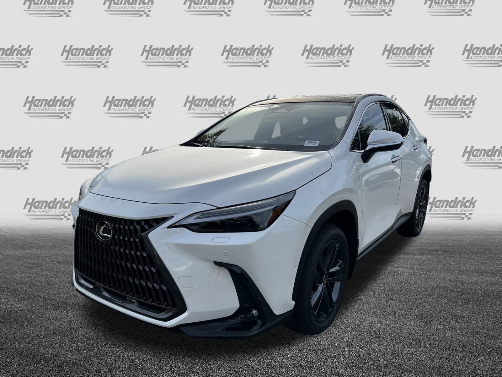 2025 Lexus NX Luxury AWD photo 4