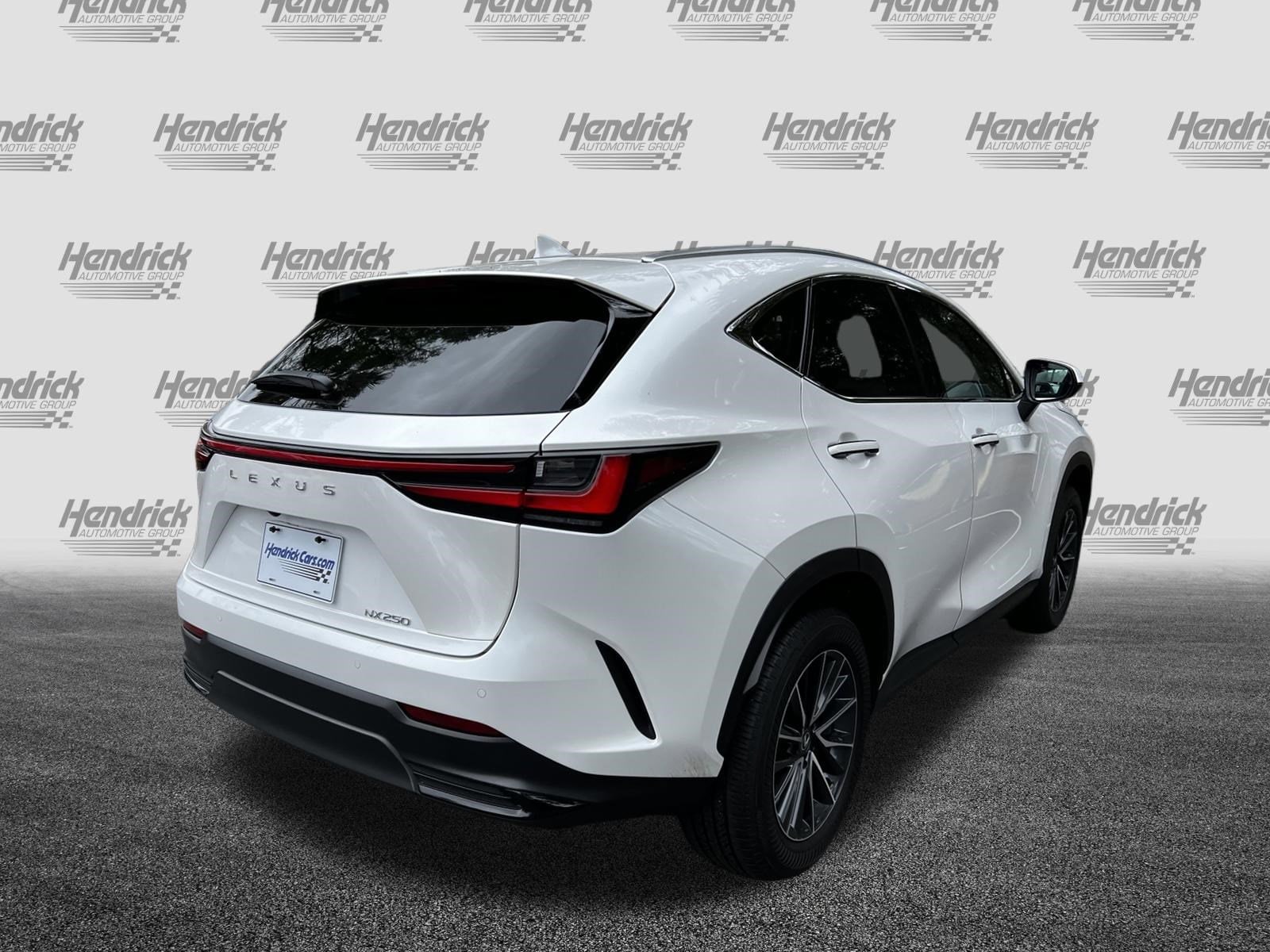 2025 LEXUS NX NX 250 Premium photo 6