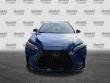 2024 LEXUS NX 250 SUV
