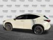 2025 LEXUS NX 250 Premium SUV
