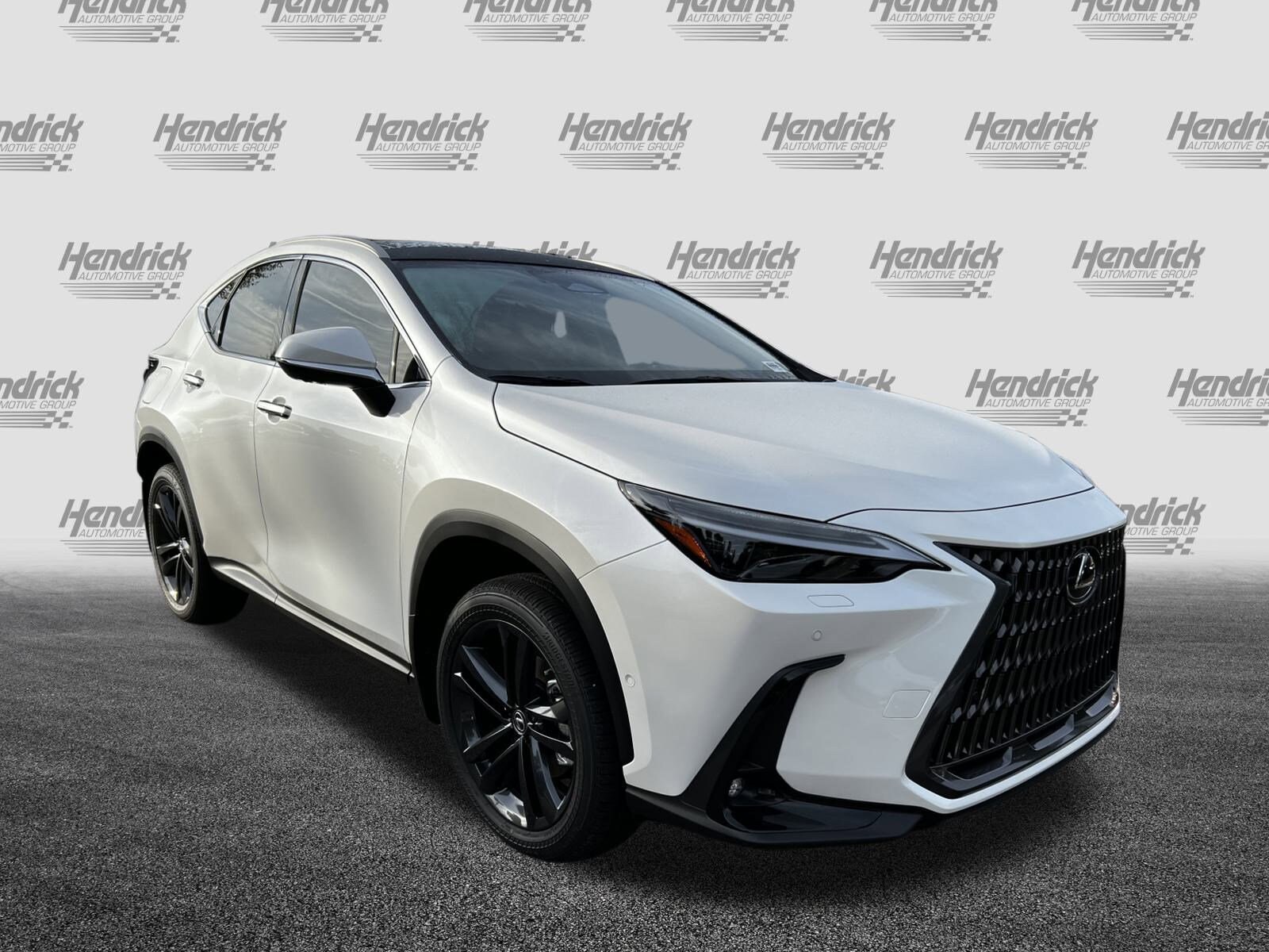 2025 Lexus NX Luxury AWD photo 2