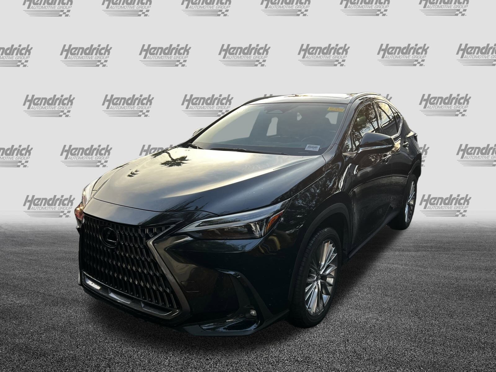 2024 Lexus NX 350h Luxury photo 4
