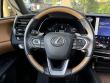 2025 LEXUS RX RX 350 Premium SUV
