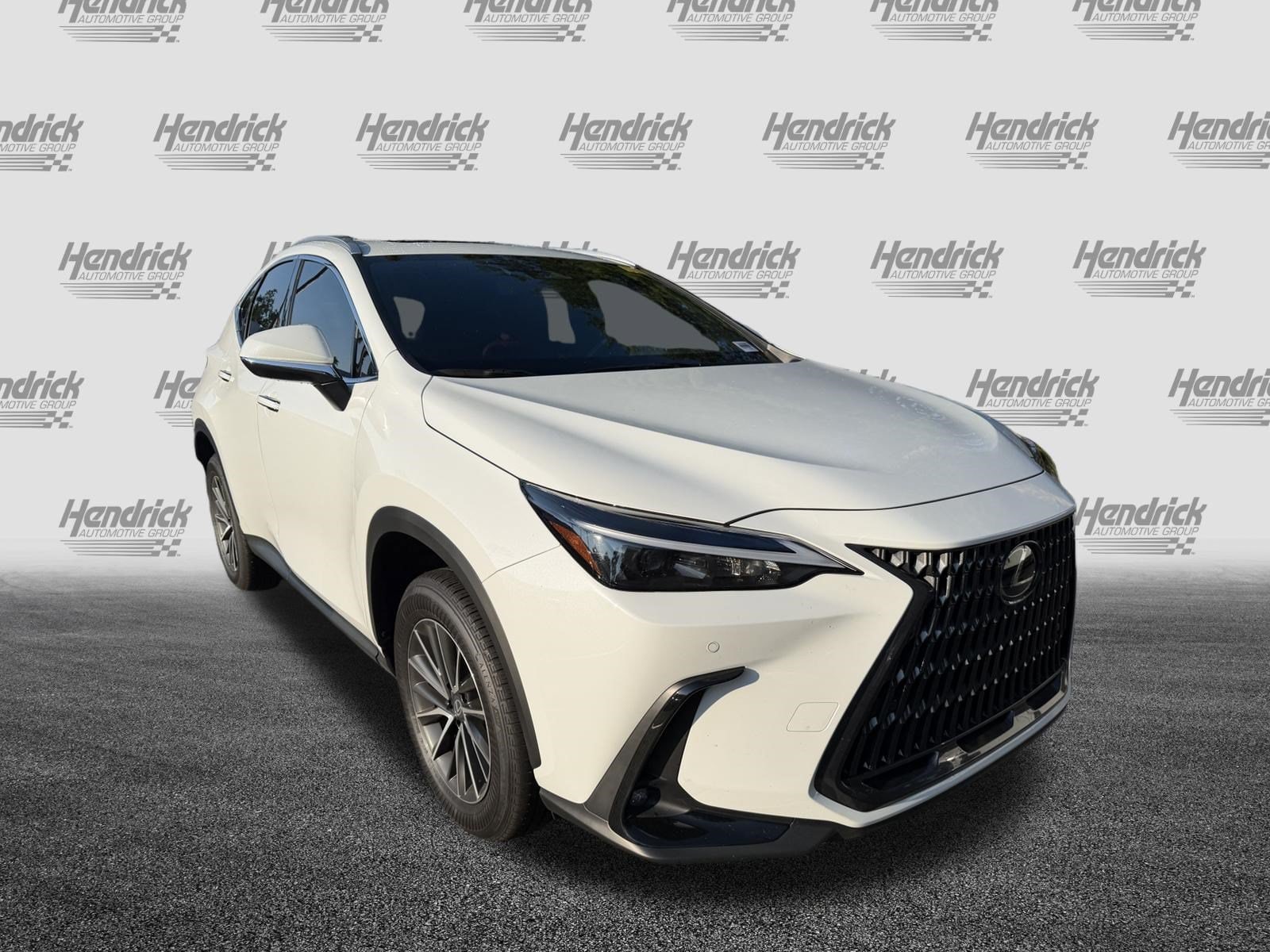 十年後XANXUS CCG 白スーツ サインなし Used 2026 LEXUS NX For Sale in Charleston, SC VIN