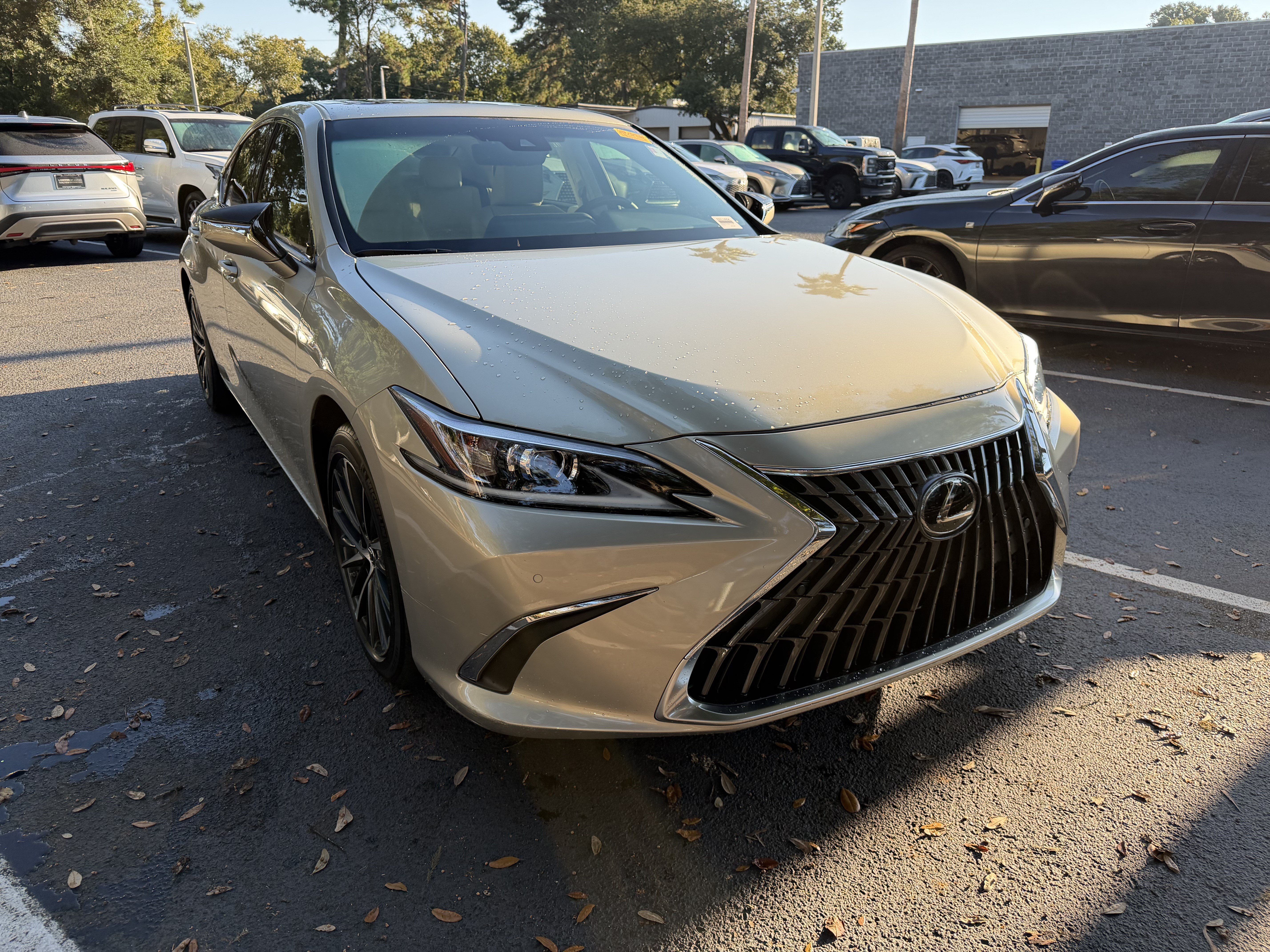 2024 LEXUS ES ES 350 Sedan