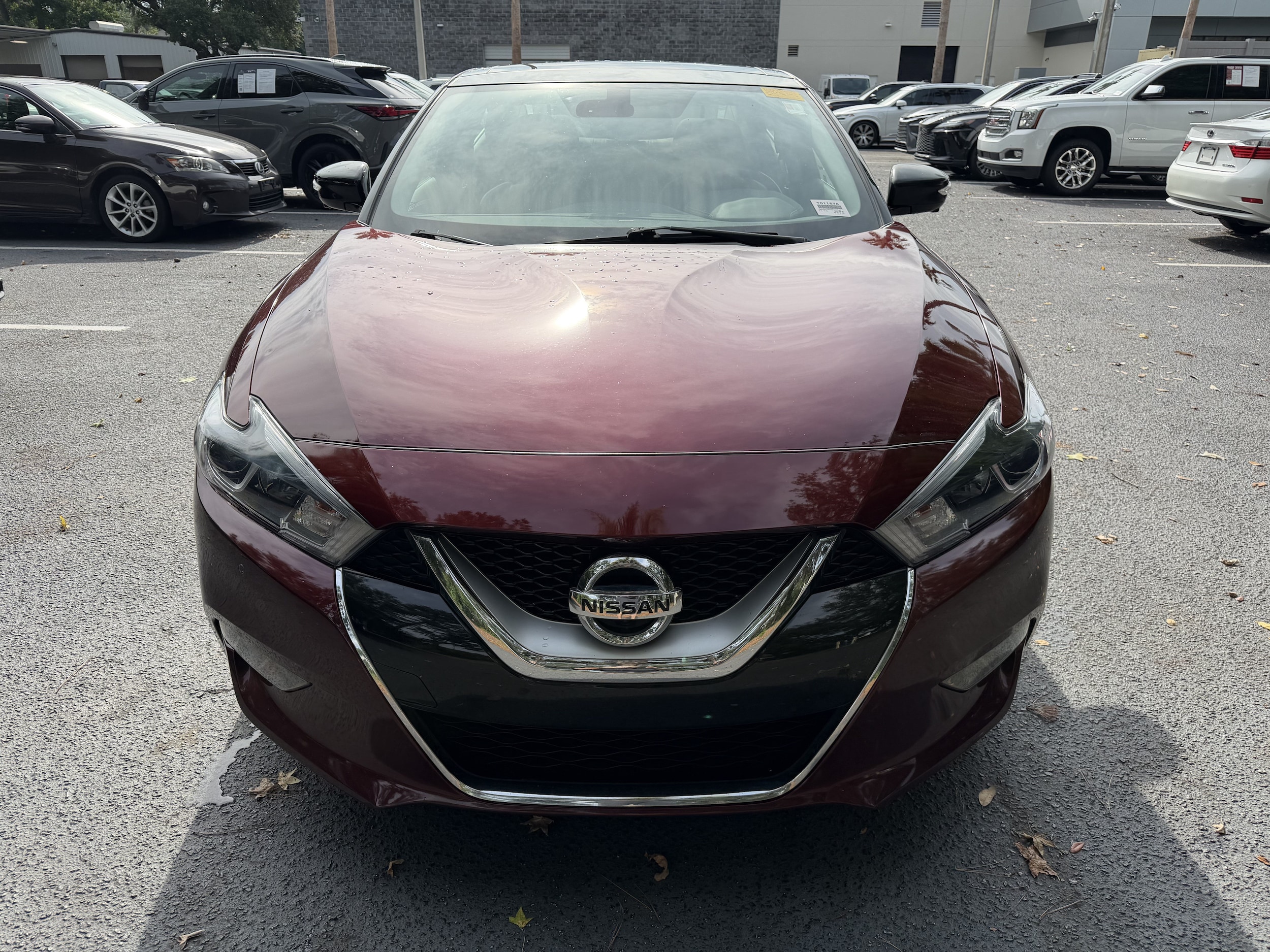 Nissan Maxima Platinum