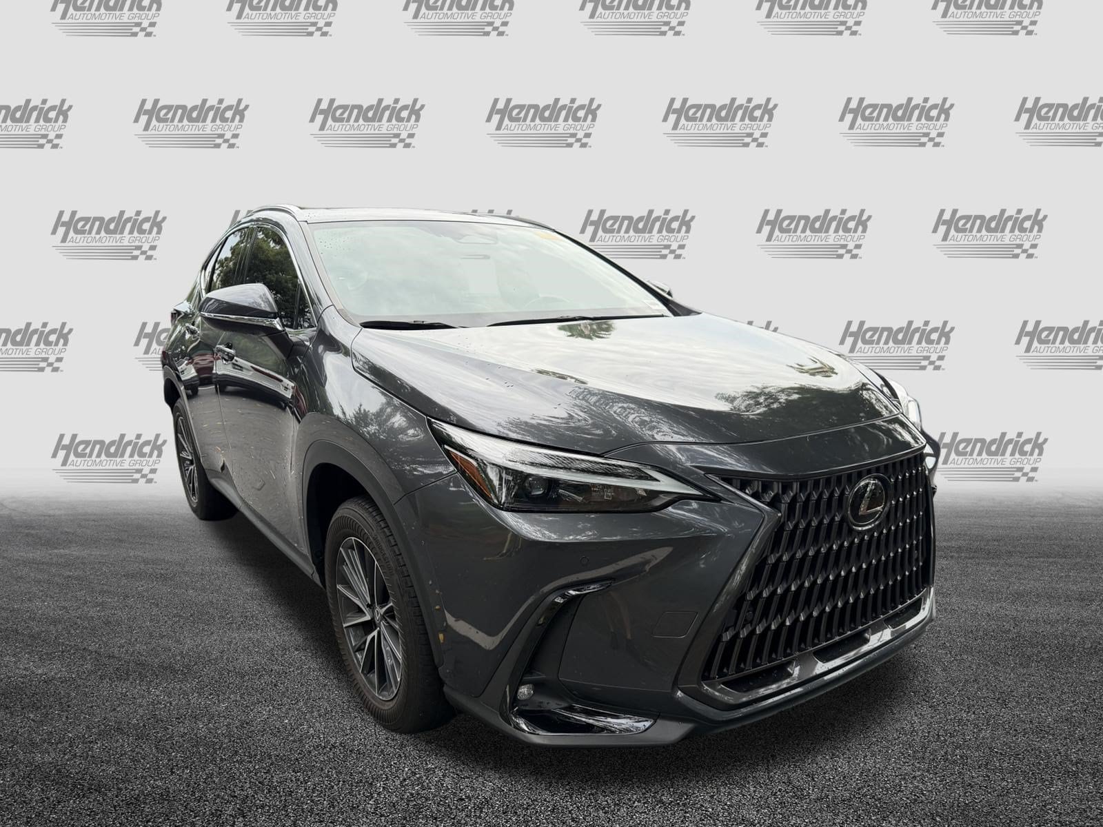 フルクサス Used 2022 LEXUS NX For Sale in Charleston, SC VIN