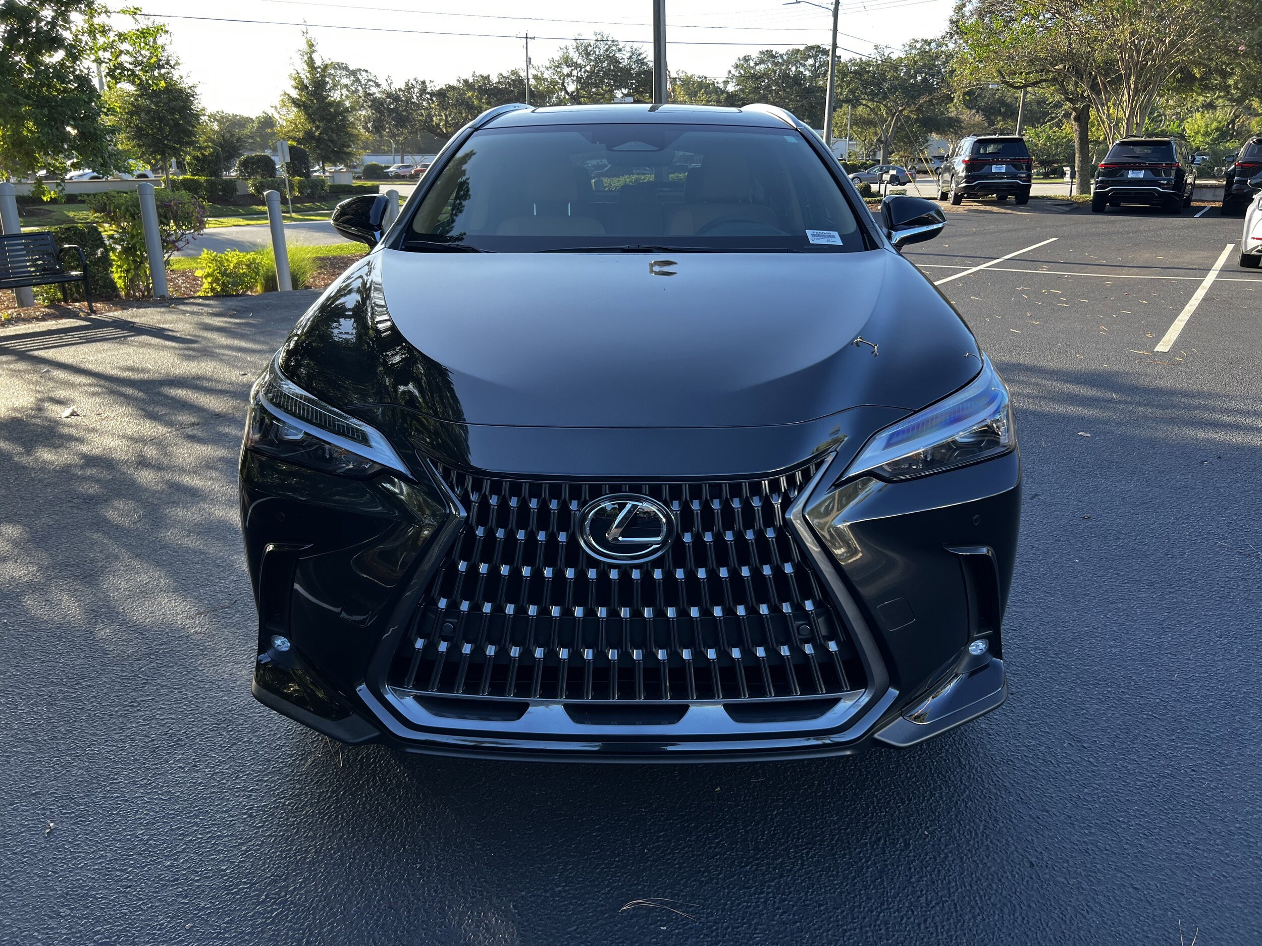2026 Lexus NX 350 Premium photo 3