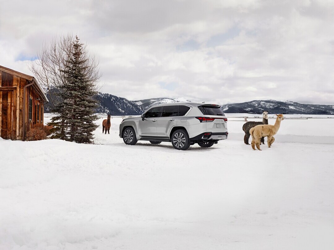 2025 Lexus LX Hybrid Rear View