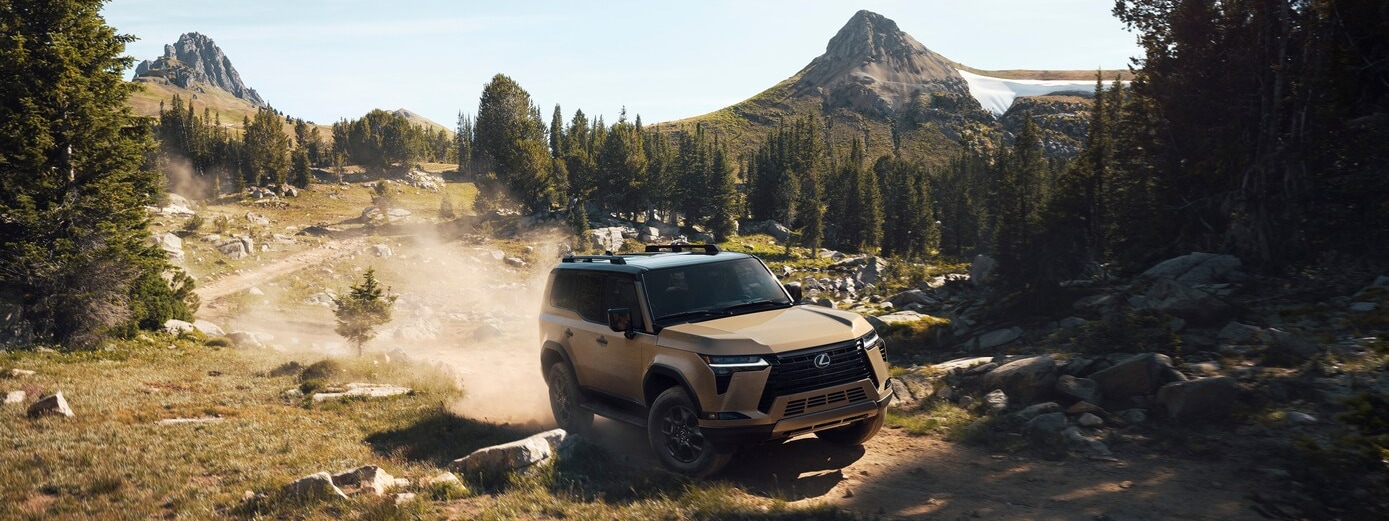 2025 Lexus GX for sale in Charleston