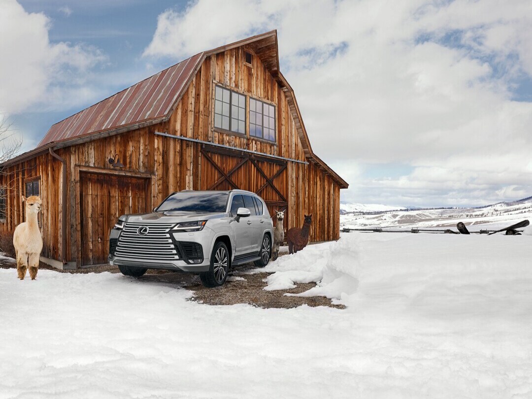 2025 Lexus LX Hybrid Exterior