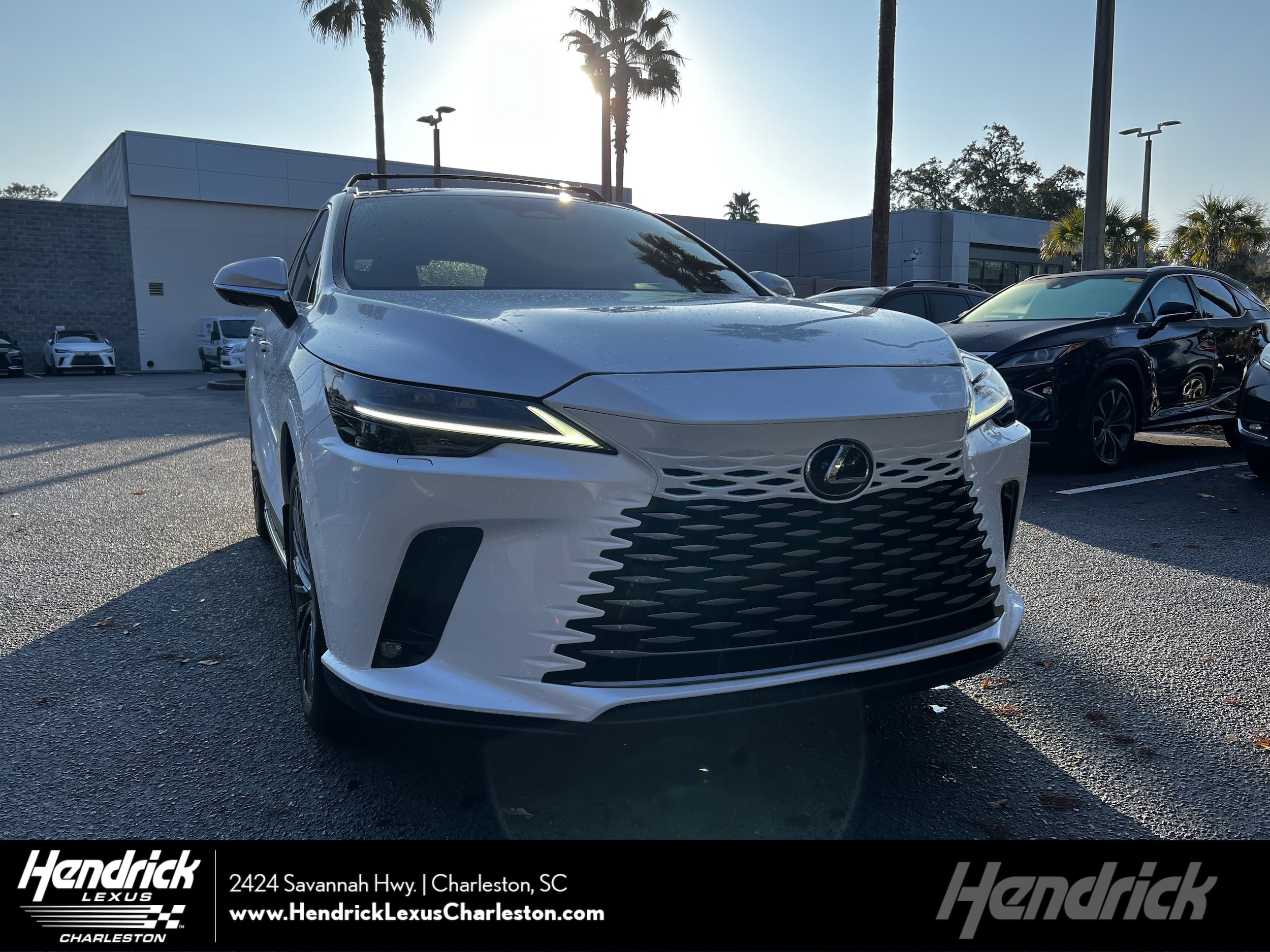 2024 Lexus RX 350's photo