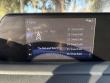 2021 LEXUS RX RX 350L SUV