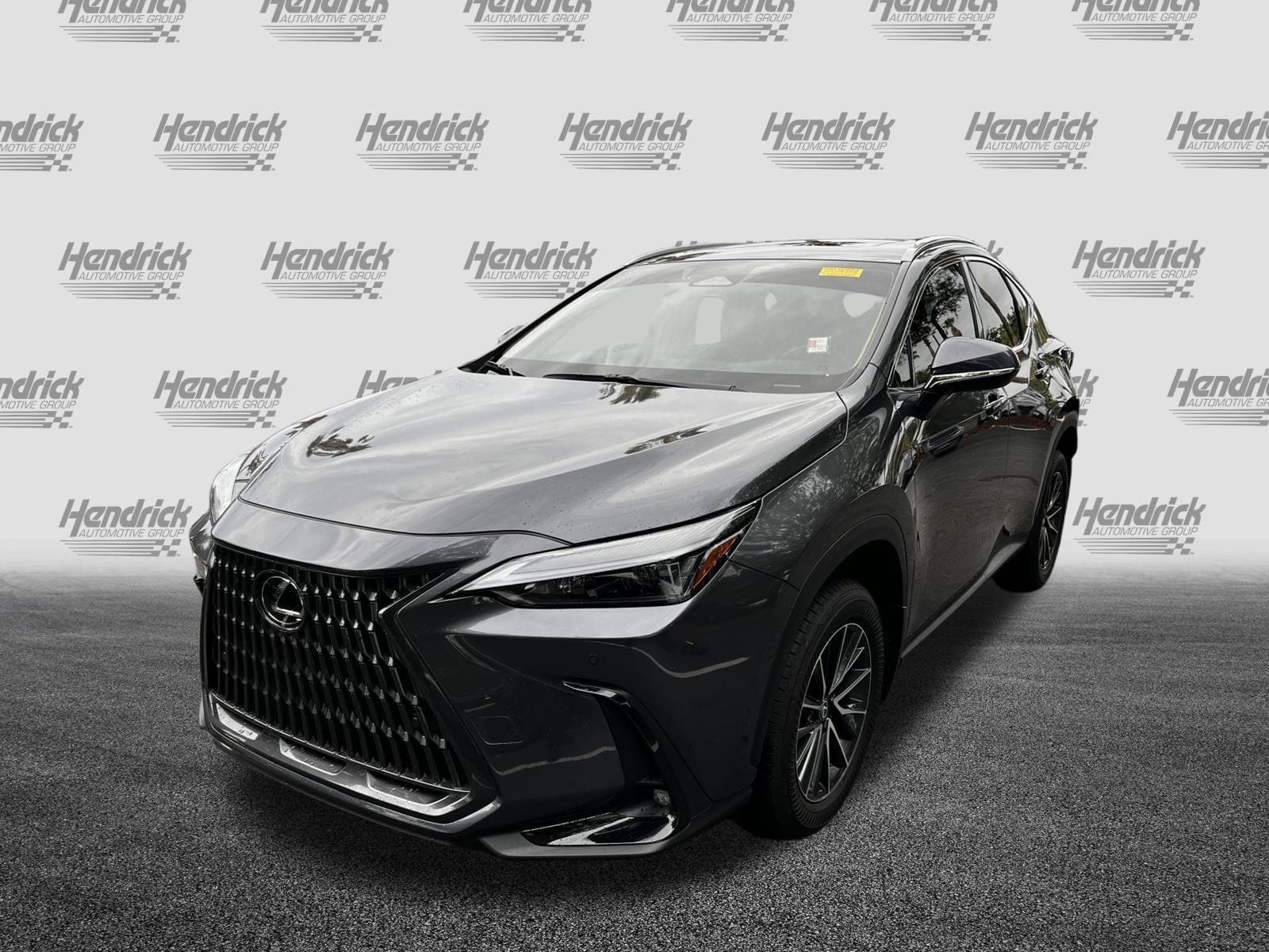 2024 LEXUS NX NX 350 Premium photo 2