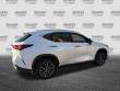 2025 LEXUS NX 250 Premium SUV