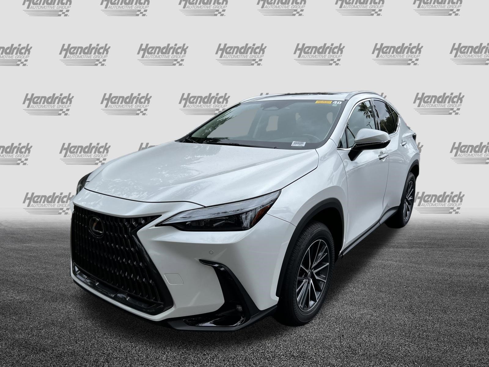 2025 LEXUS NX NX 250 Premium photo 2
