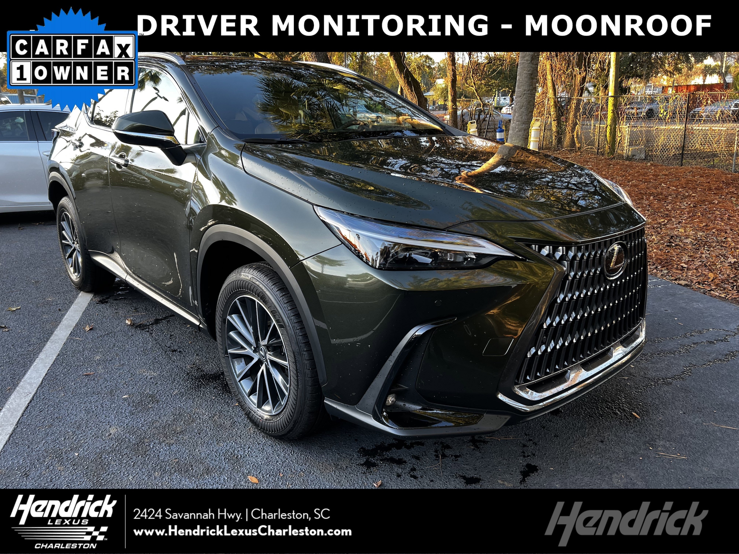 2025 Lexus NX 250's photo