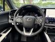 2025 LEXUS RX RX 350 Premium Plus SUV