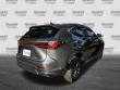 2024 LEXUS NX 250 PREMIUM FWD SUV
