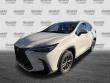 2025 LEXUS NX 250 Premium SUV