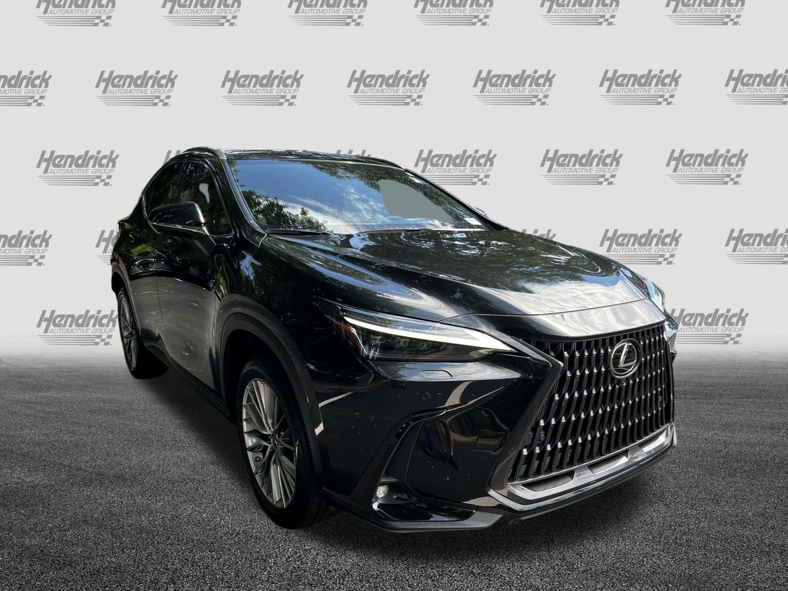 Used 2022 Lexus NX 350 with VIN JTJHGCEZ2N2006396 for sale in Charleston, SC
