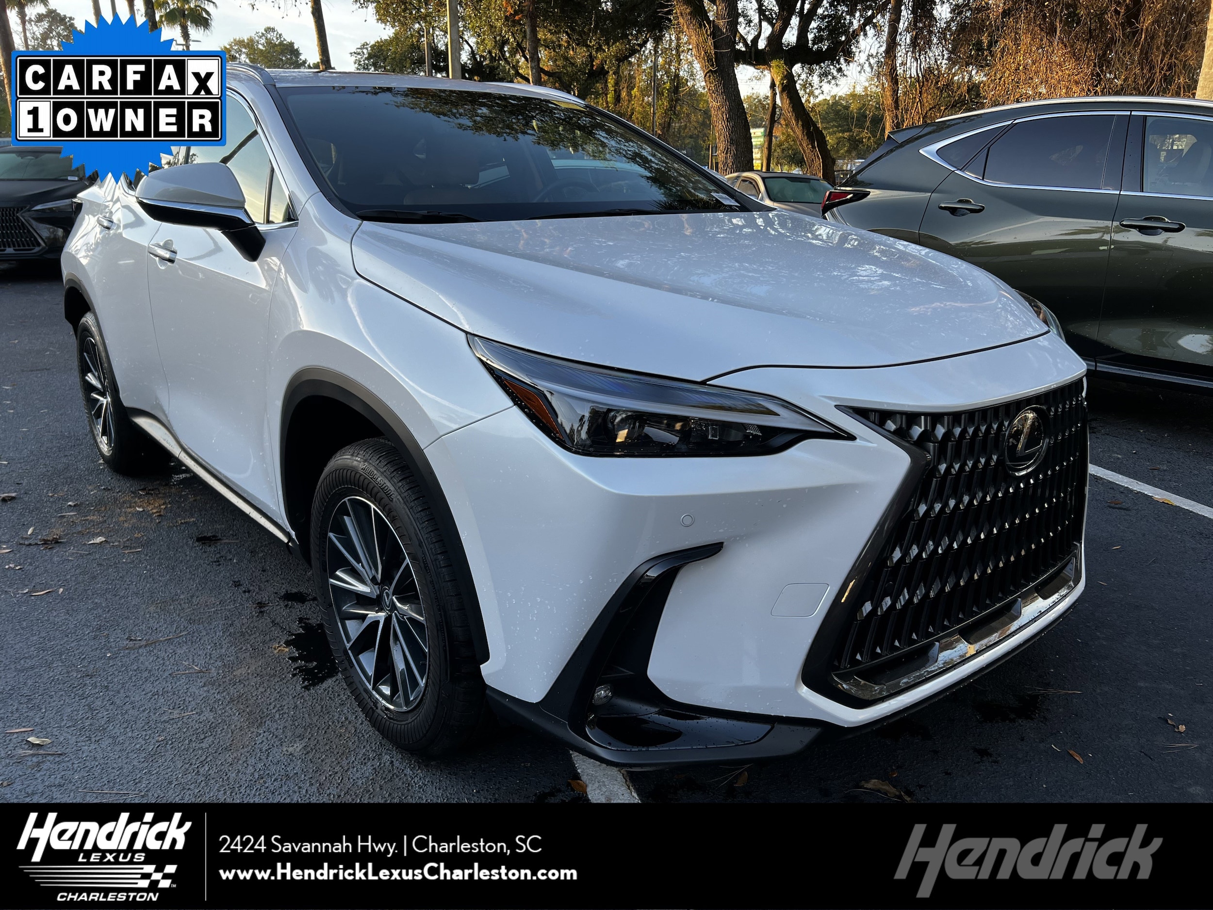 2025 Lexus NX 250's photo