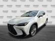 2024 LEXUS NX 350h LUXURY AWD SUV