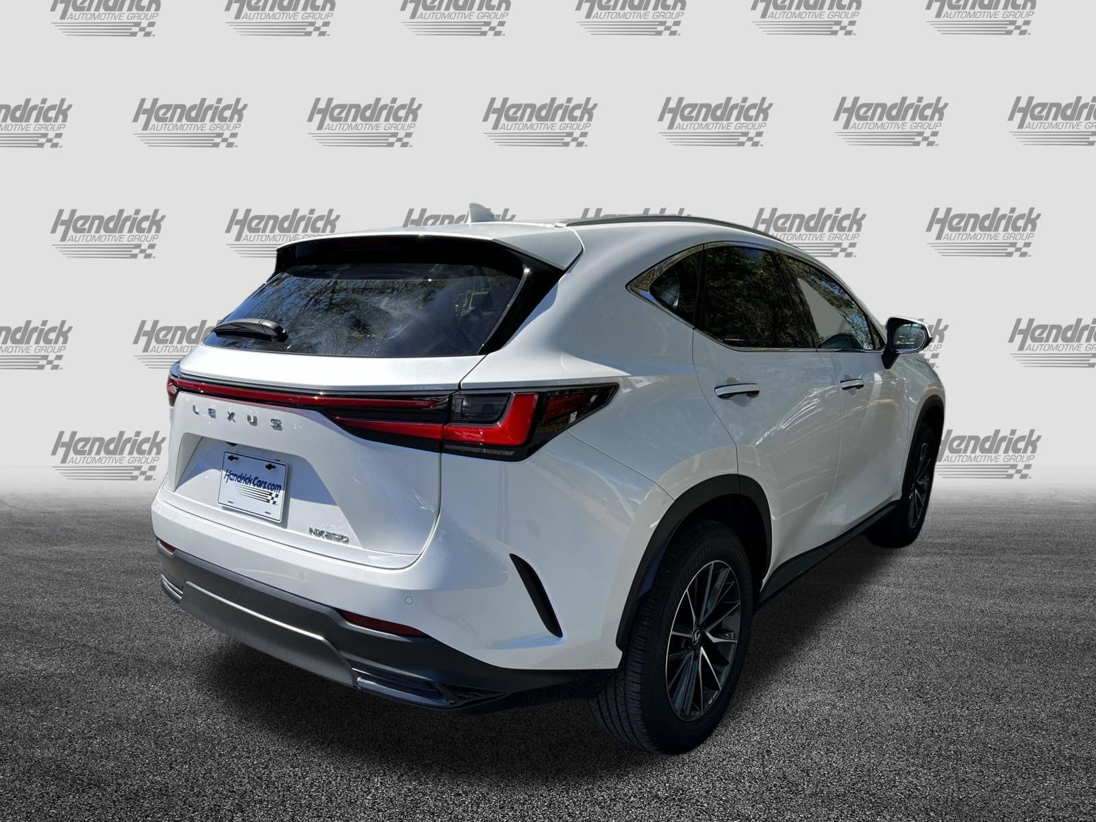 2025 LEXUS NX NX 250 Premium photo 6