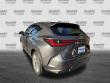 2025 LEXUS NX NX 350 Premium SUV