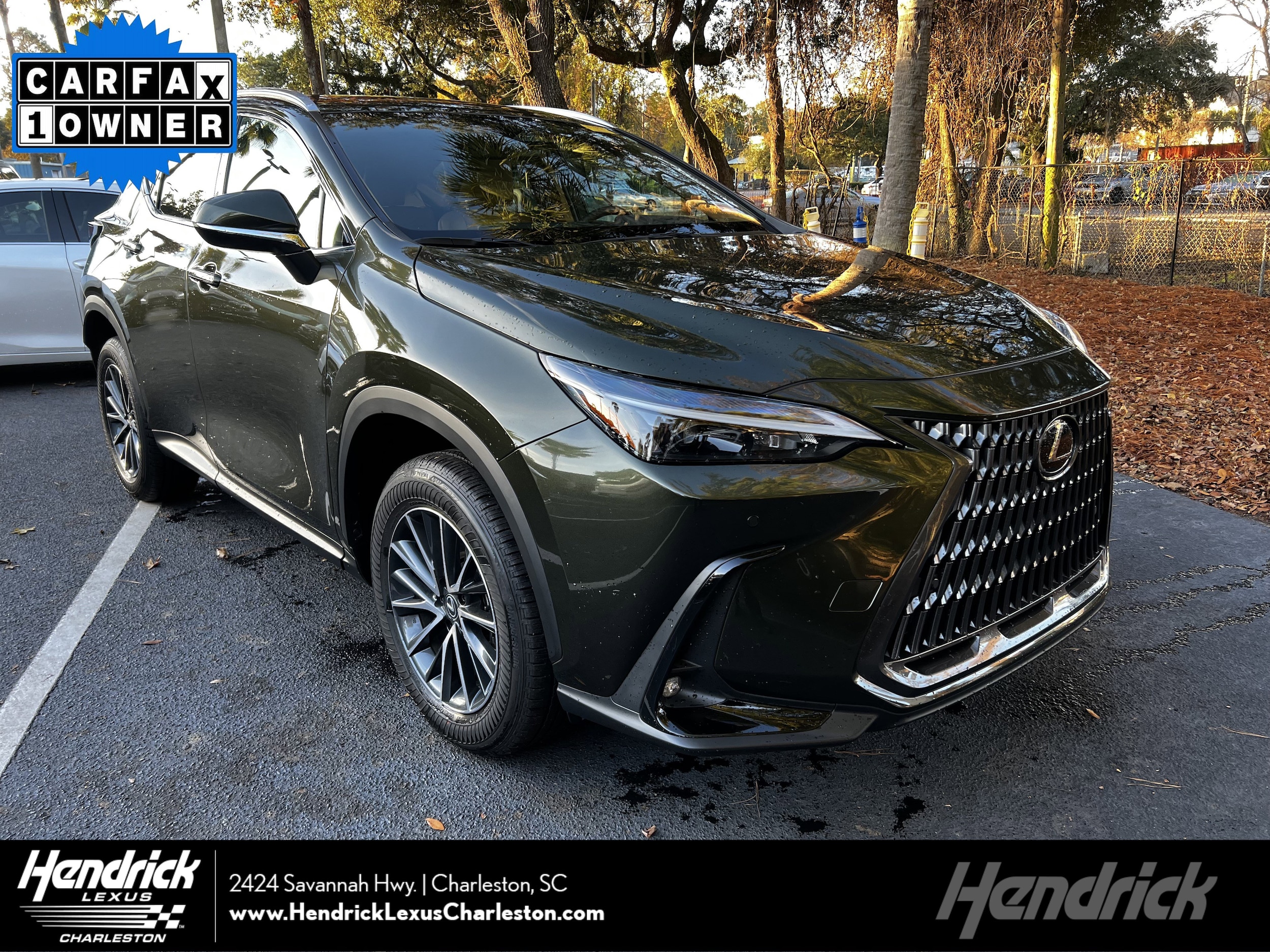2025 Lexus NX 250's photo