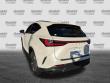 2025 LEXUS NX 250 Premium SUV
