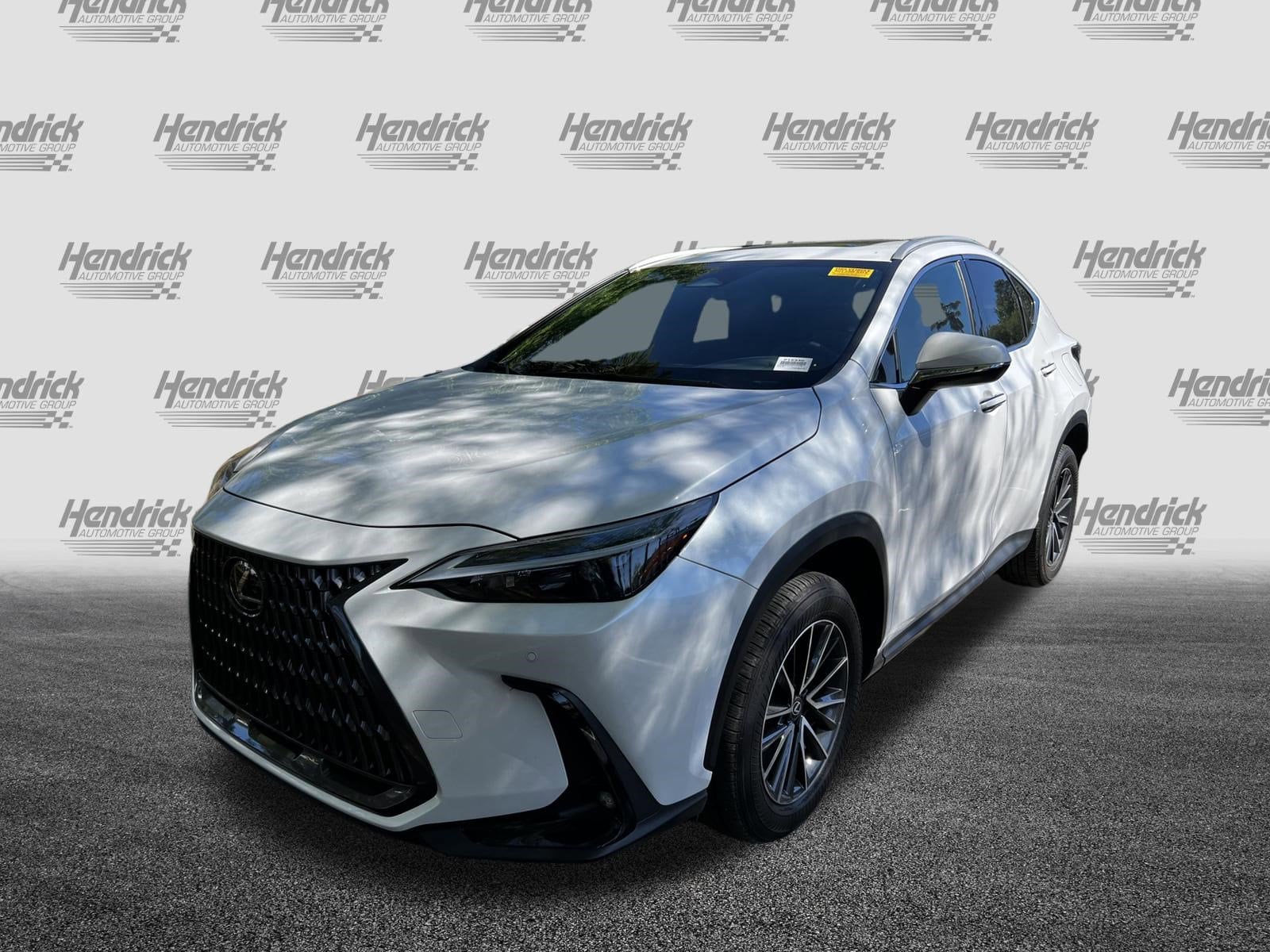 2025 LEXUS NX NX 250 Premium photo 2