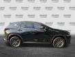 2025 LEXUS NX NX 250 Premium SUV