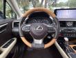 2020 LEXUS RX RX 350 SUV