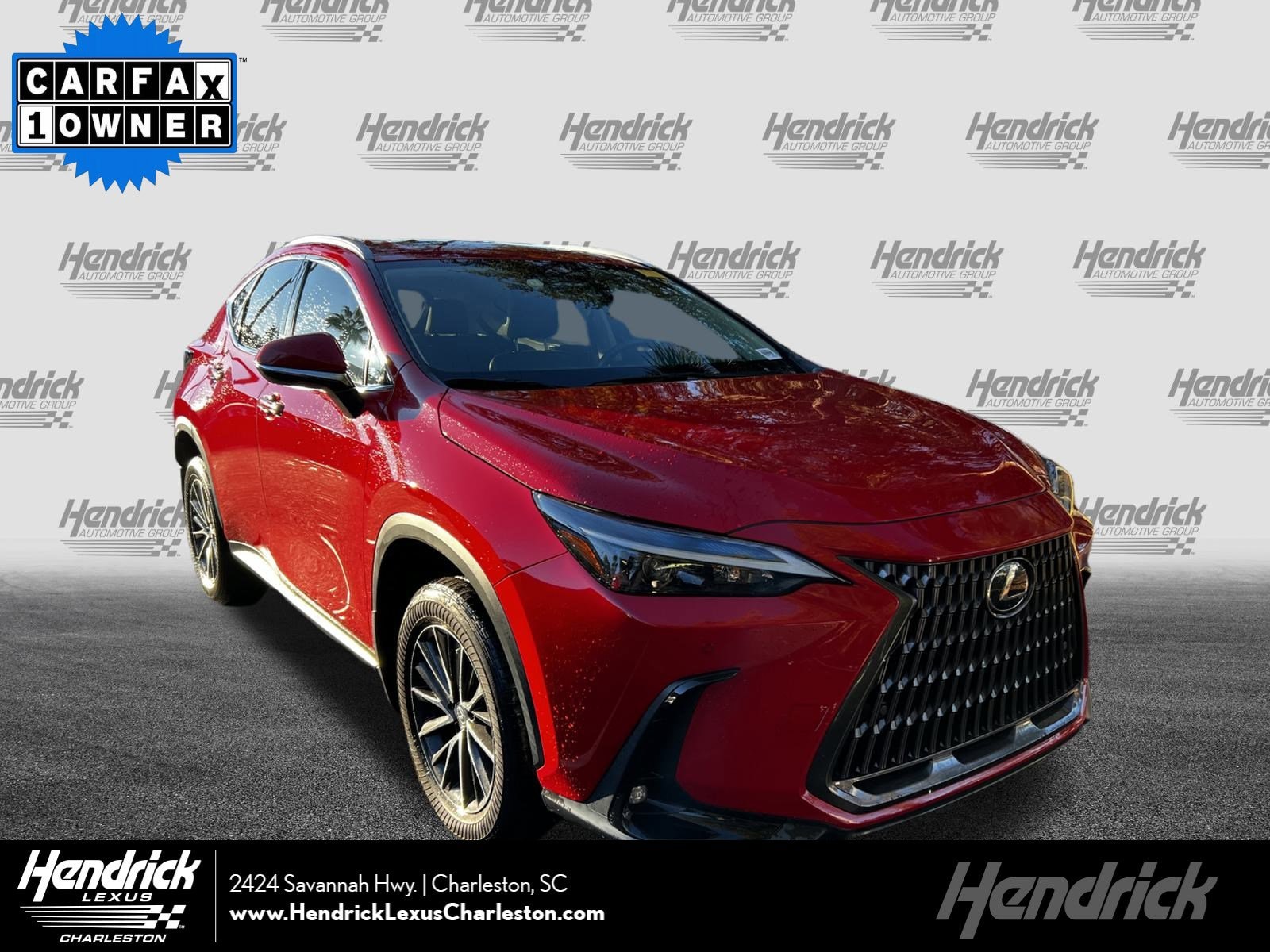 2024 Lexus NX 250's photo