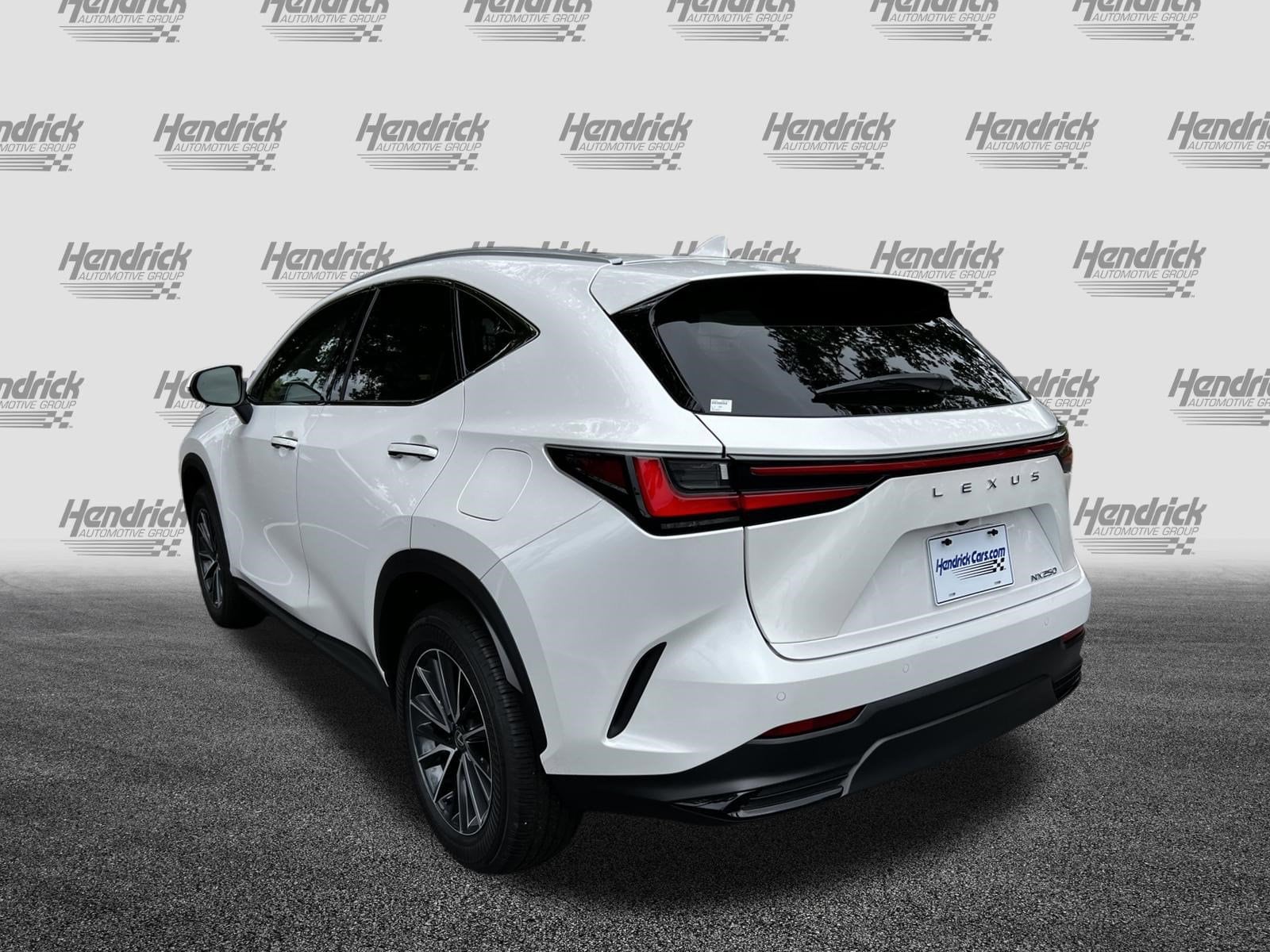 2025 LEXUS NX NX 250 Premium photo 4