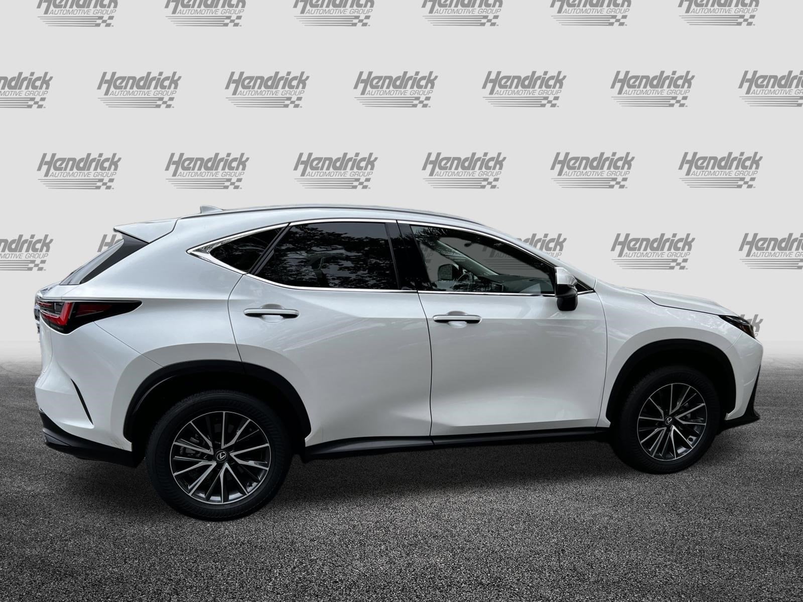 2025 LEXUS NX NX 250 Premium photo 3