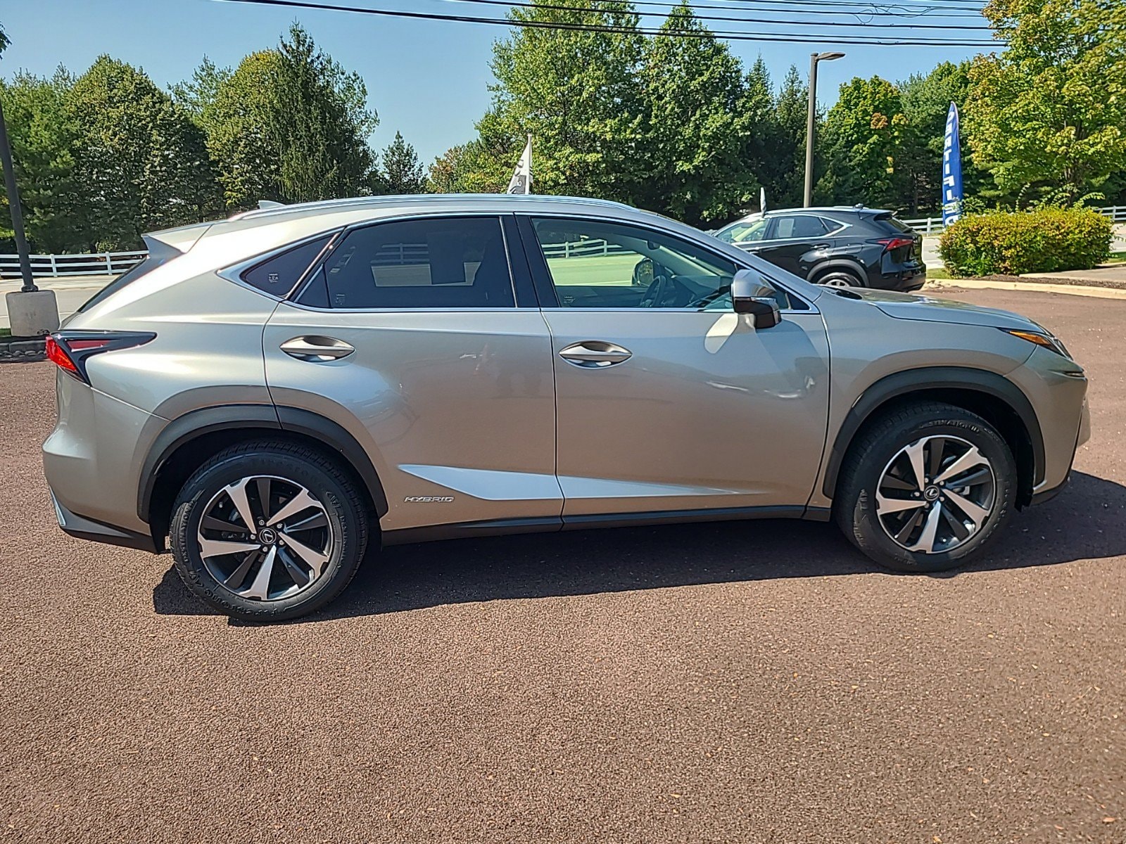 Certified 2021 Lexus NX Hybrid 300h with VIN JTJDJRDZ7M2152733 for sale in Chester Springs, PA