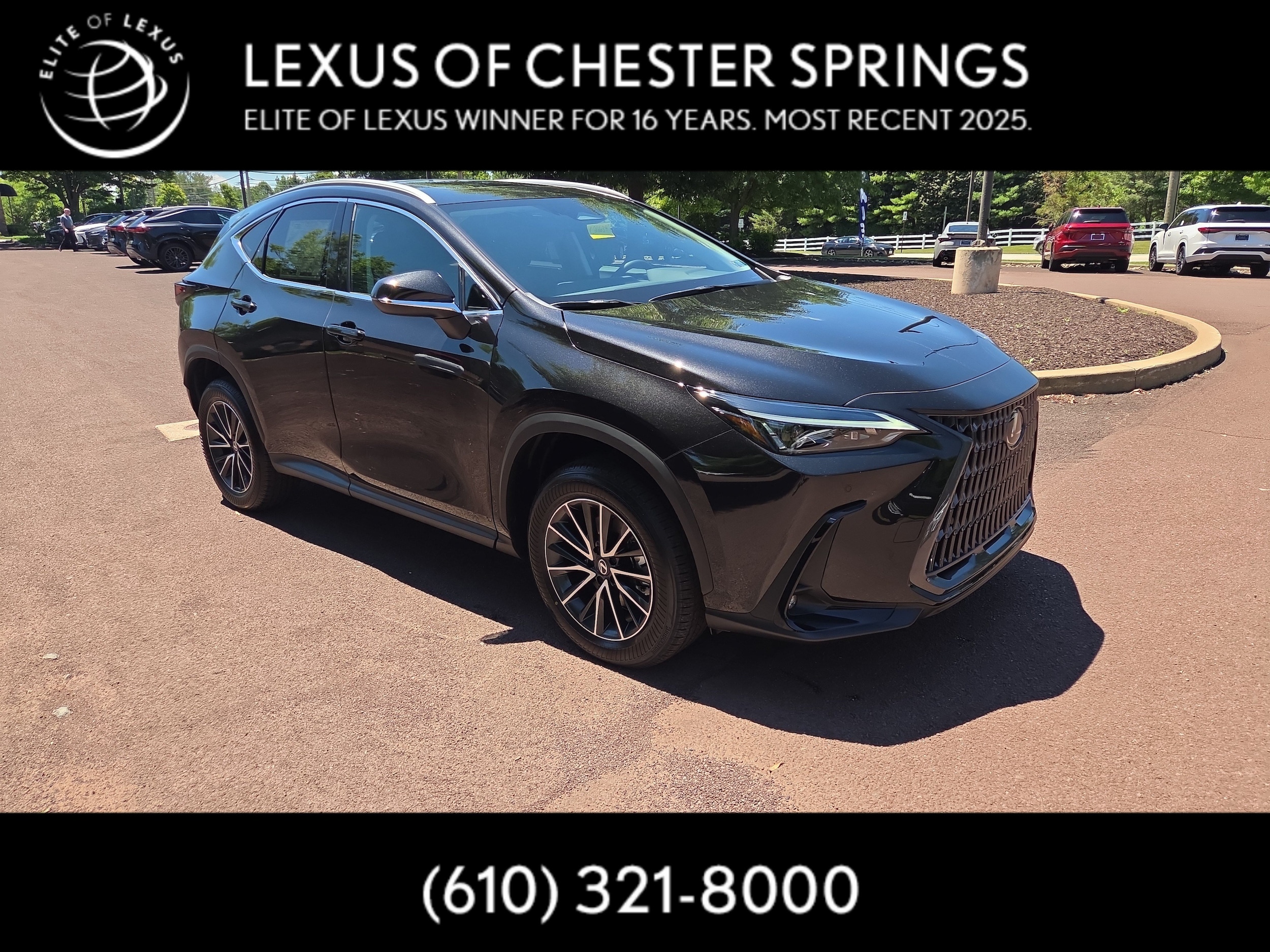 New Lexus NX for Sale in Chester Springs, PA