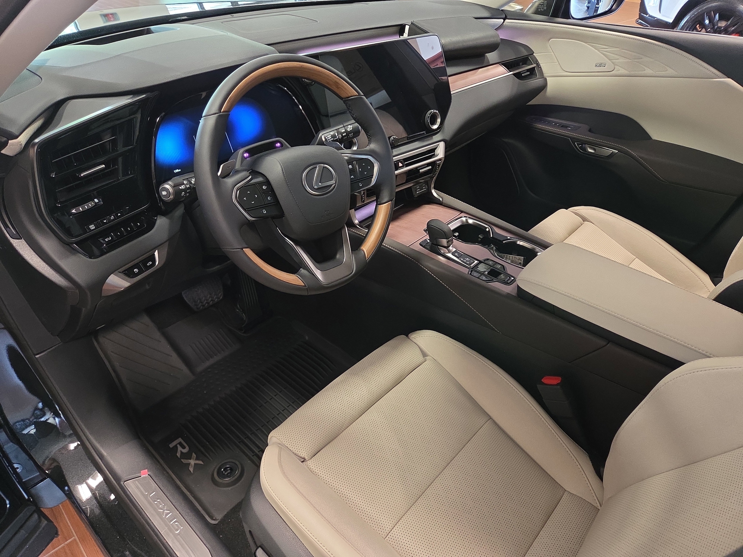 2026 Lexus RX 450h+ Luxury - Photo 8