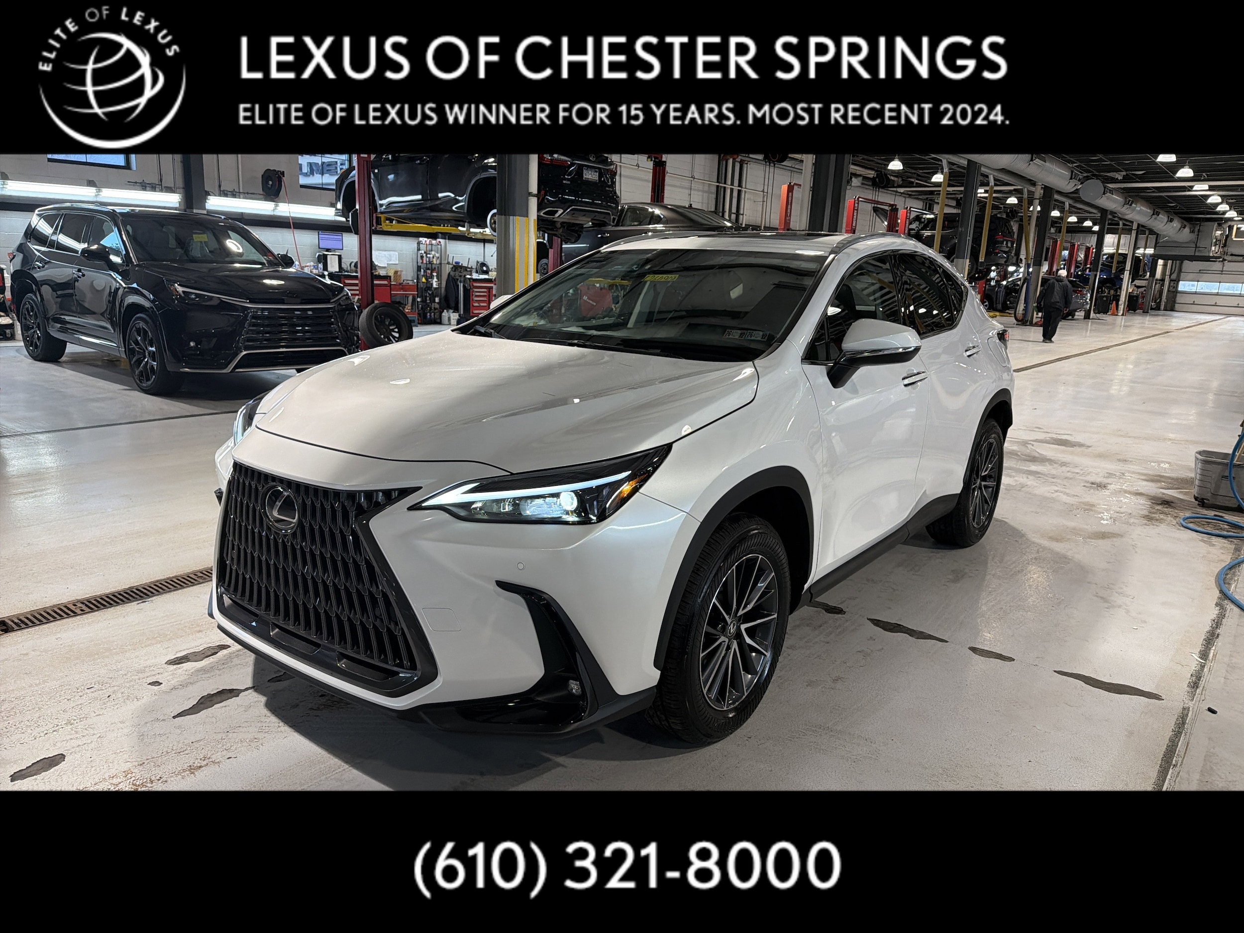 2025 Lexus NX 350's photo